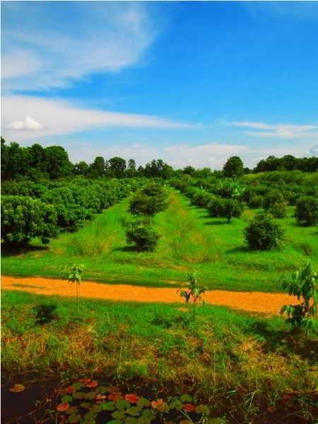 Therdthai Farm Boutique Hotel Sukhothai Exterior photo